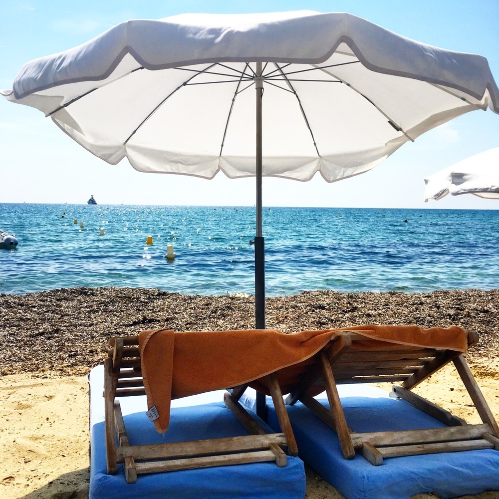 Meet your Posher, Molly